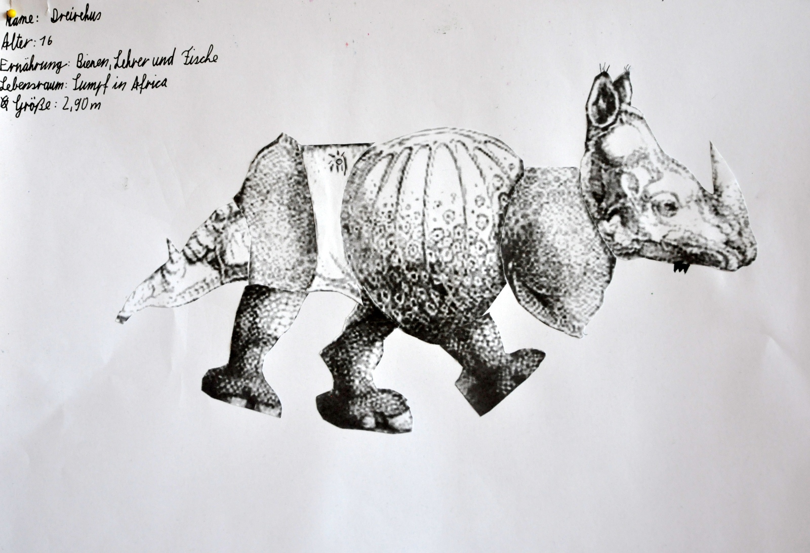 Dürers Rhinozeros neu zusammengesetzt LG 4 c